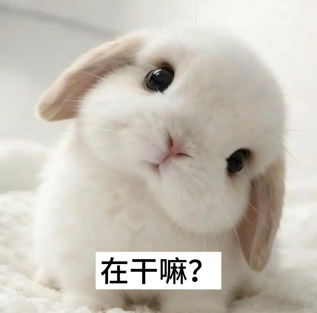 田雷你在干嘛 