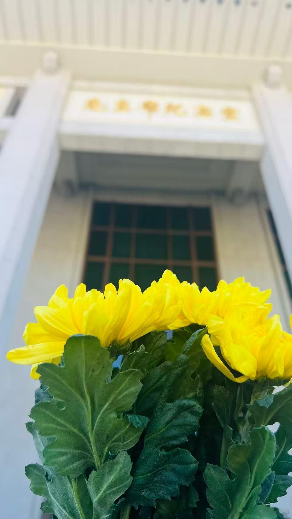 修缮后的毛主席纪念堂今起恢复开放，群众排队瞻仰悼念，纪念毛主席逝世50周年。 ​
