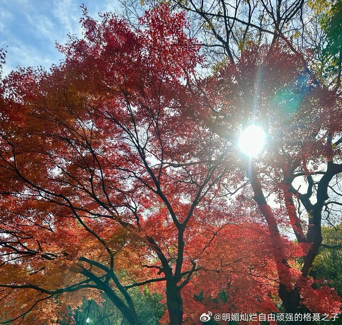 对于这个世界上绝大多数普通人来说，平凡、健康，平安，就是幸福。 