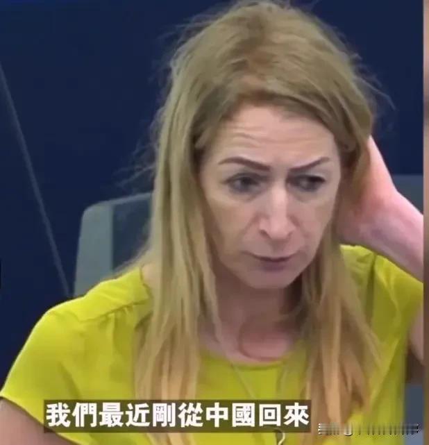 欧洲议员回国痛批：“和中国差距太大！”

