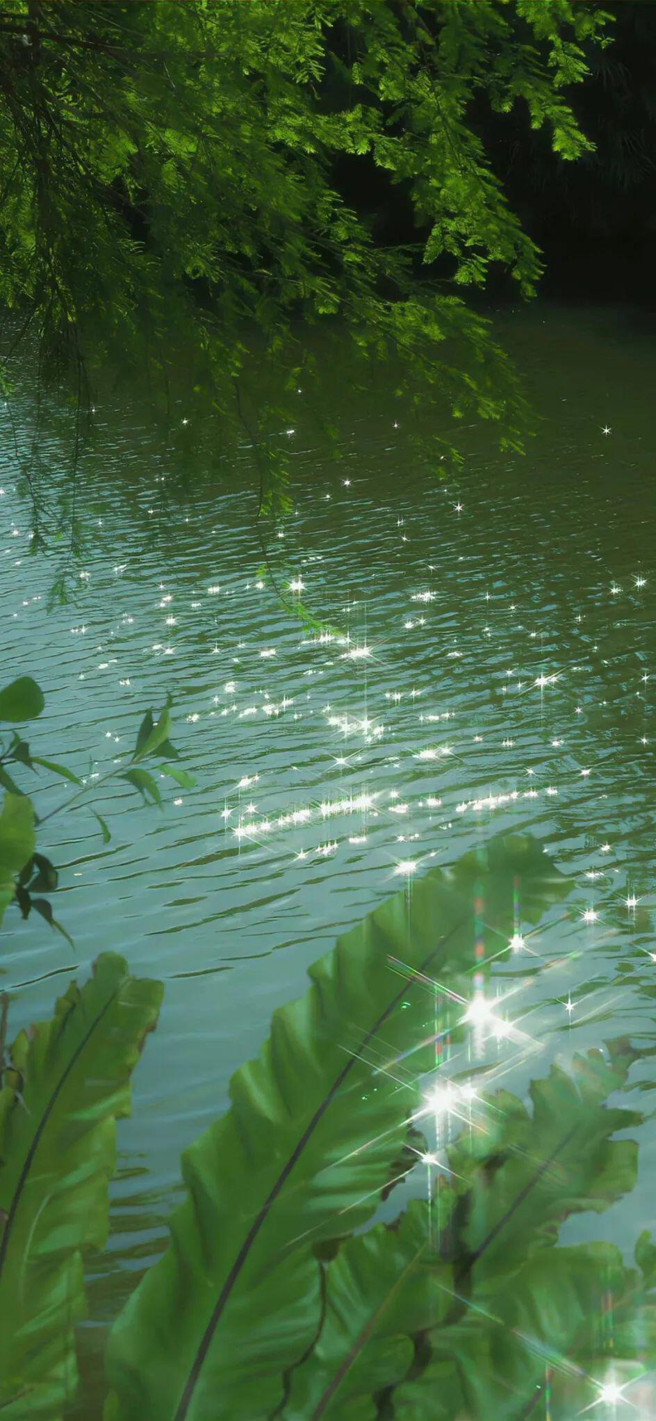 夏日爱心站今日壁纸分享——𝑊𝑎𝑡𝑒𝑟⛲大学生喜爱内容共创计划校园v计划