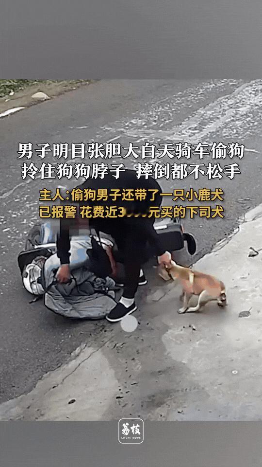 “胆大的没边了！”10月6日，山西运城，一小伙花近3000元买了只小狗，谁料，小