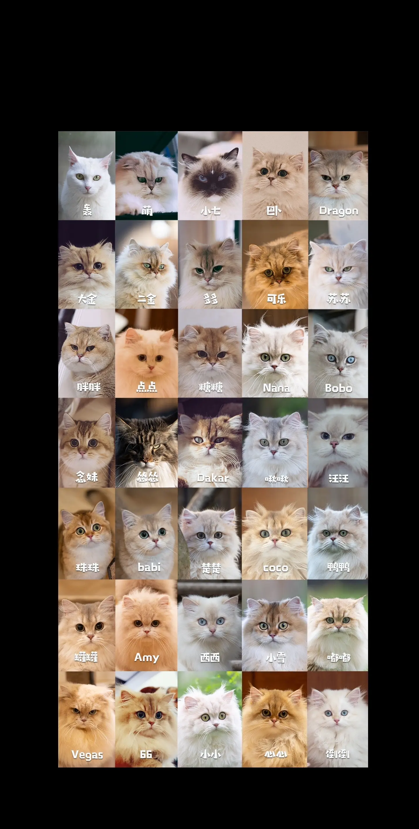 妹妹之家2024❤️