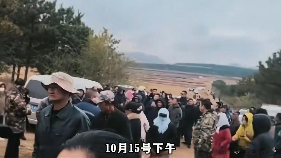 东北人真是好样的，自发组织累计上万余人次展开地毯式搜索，帮忙寻找失踪的4岁女孩丁