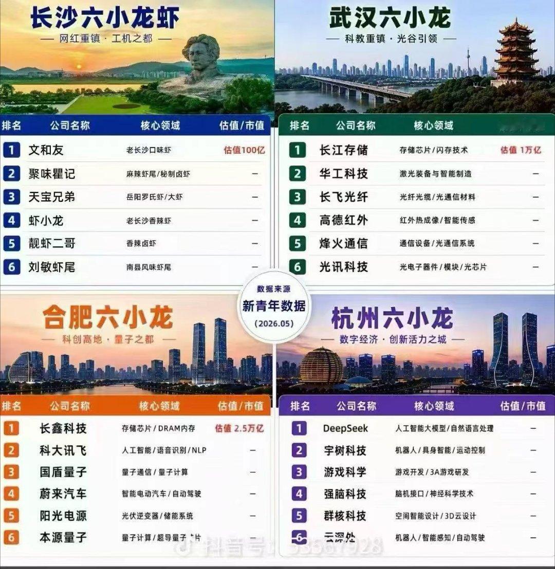 合肥 杭州 武汉是真的出息了 