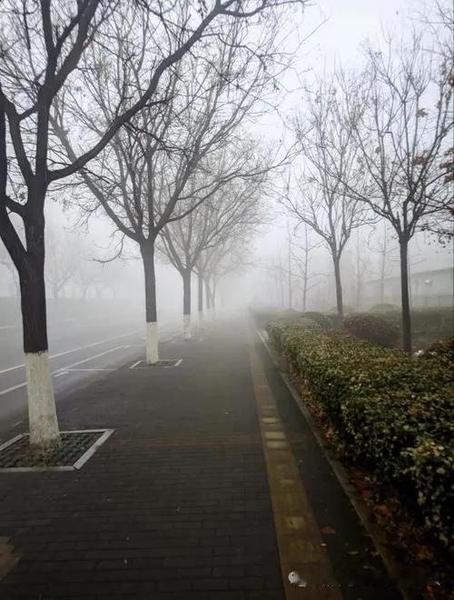 天净沙·冬雾
冬晨雾漫郊空，
四方黎庶声踪，
晓色虚无影动。
尘间如梦，
净心悄