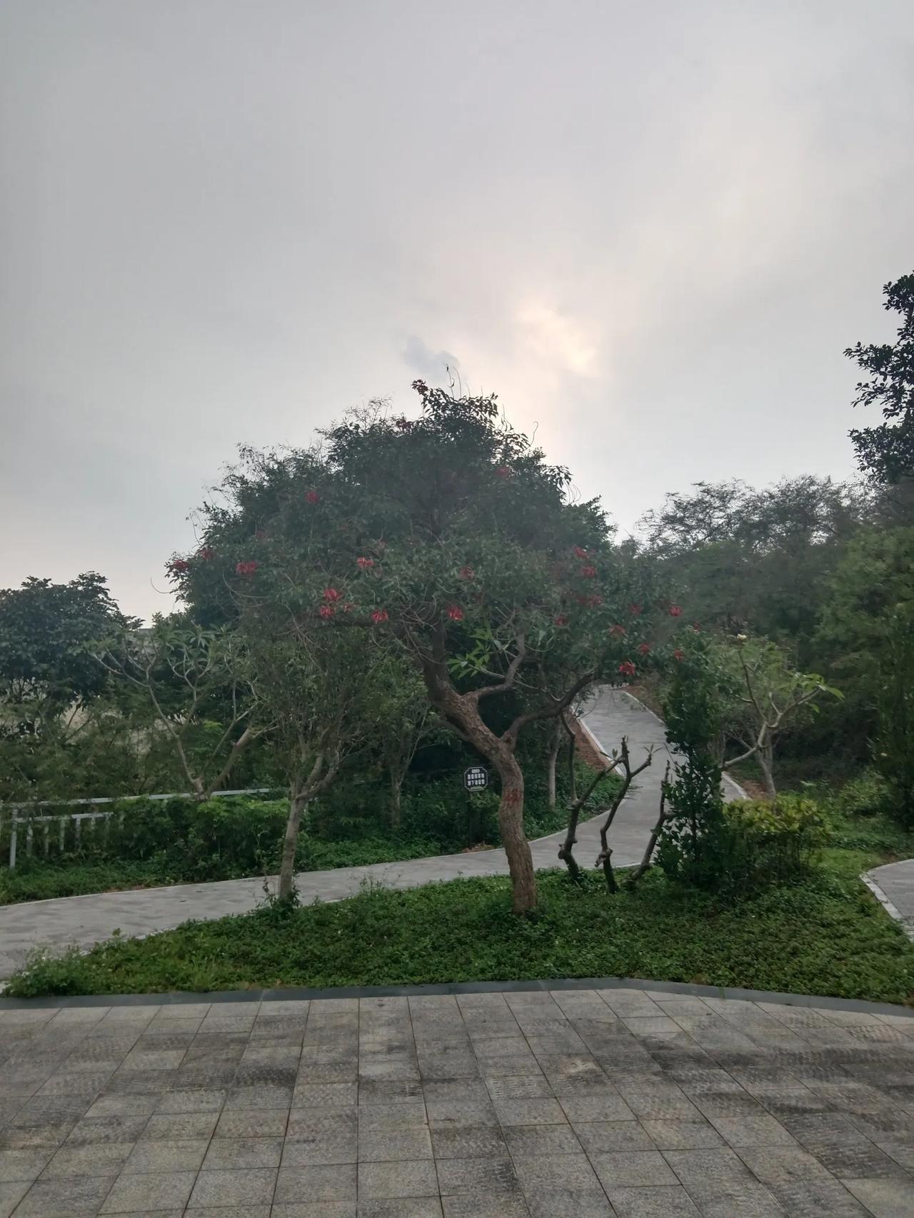 你们有没有碰到过这样的儿媳妇？
和自己的公婆分居两地，一年到头不管是逢年过节， 