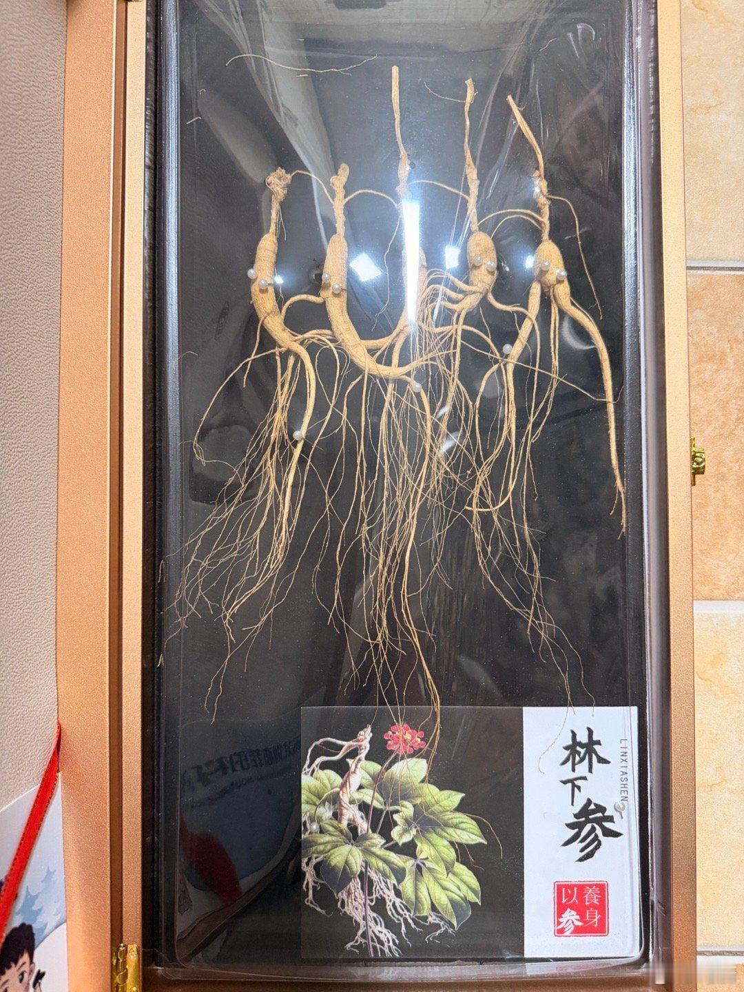 收到了送的正宗东北特产，我俩同岁估计是知道我们这个岁数的人应该开始补了 