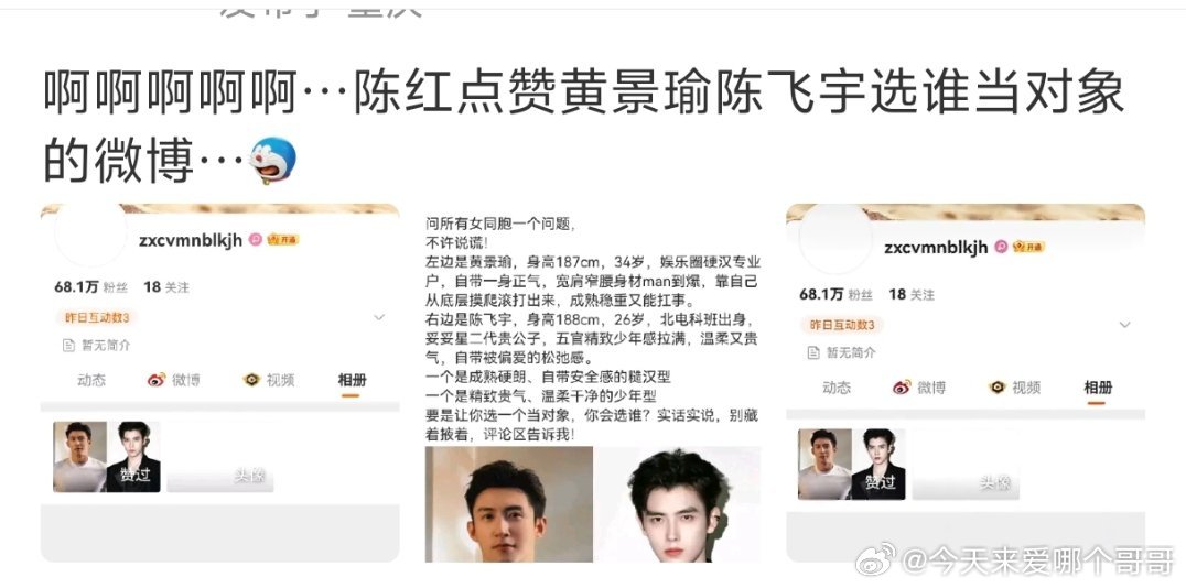 陈红手滑了？？