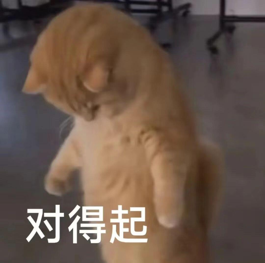 小猫咪表情包来咯 