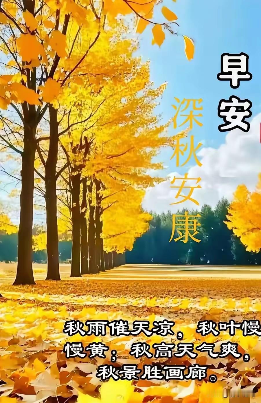 秋色已浓天渐凉，

寒风露雨树叶黄。

稻谷金黄待归仓，

菊花怒放十里香。
