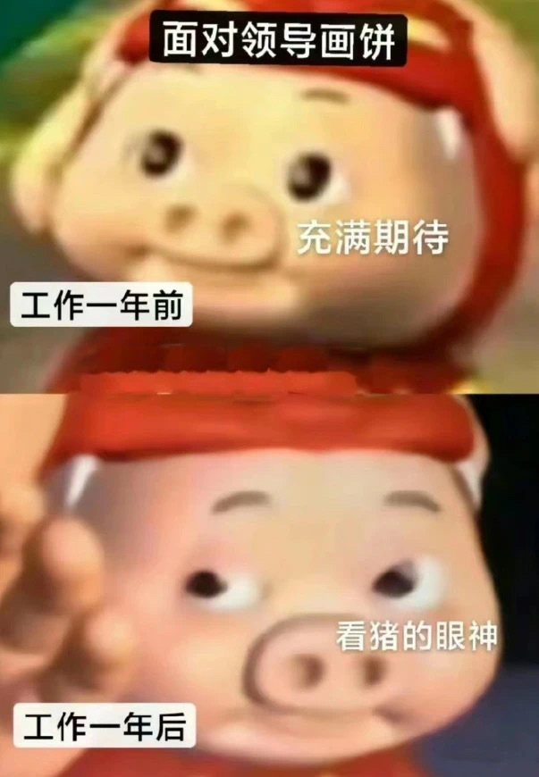 这太形象了，可不就是我本人吗 ​​​