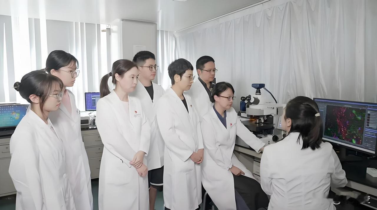 陈崴，二级教授、主任医师、博导，中山大学附属第一医院副院长、肾内科学科带头人、国