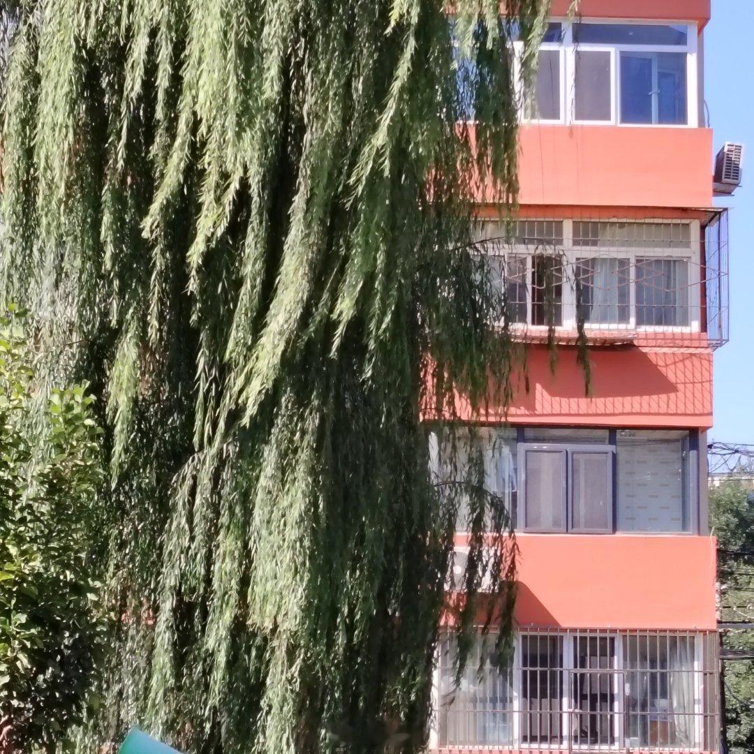 分享图片 ​​​