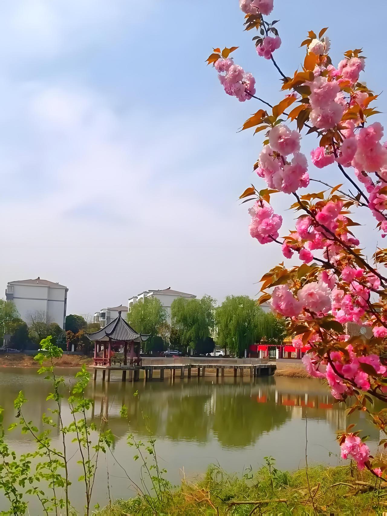 肥西设4个新街道后，日子过得有多舒心？步行15分钟，生活里的事全能搞定！
 
肥