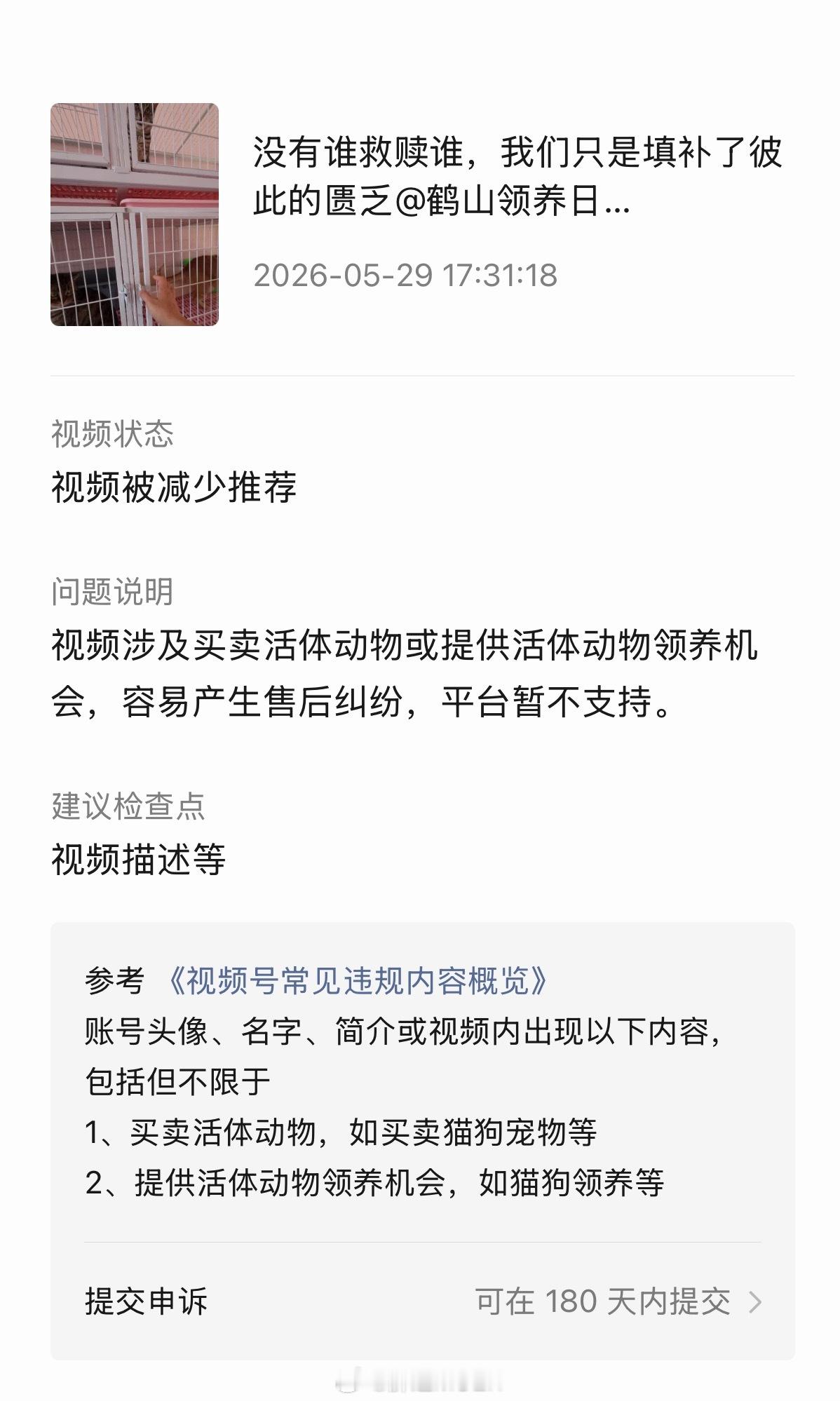 我还以为是我拍的太差，没人要看我了。原来是踩红线了