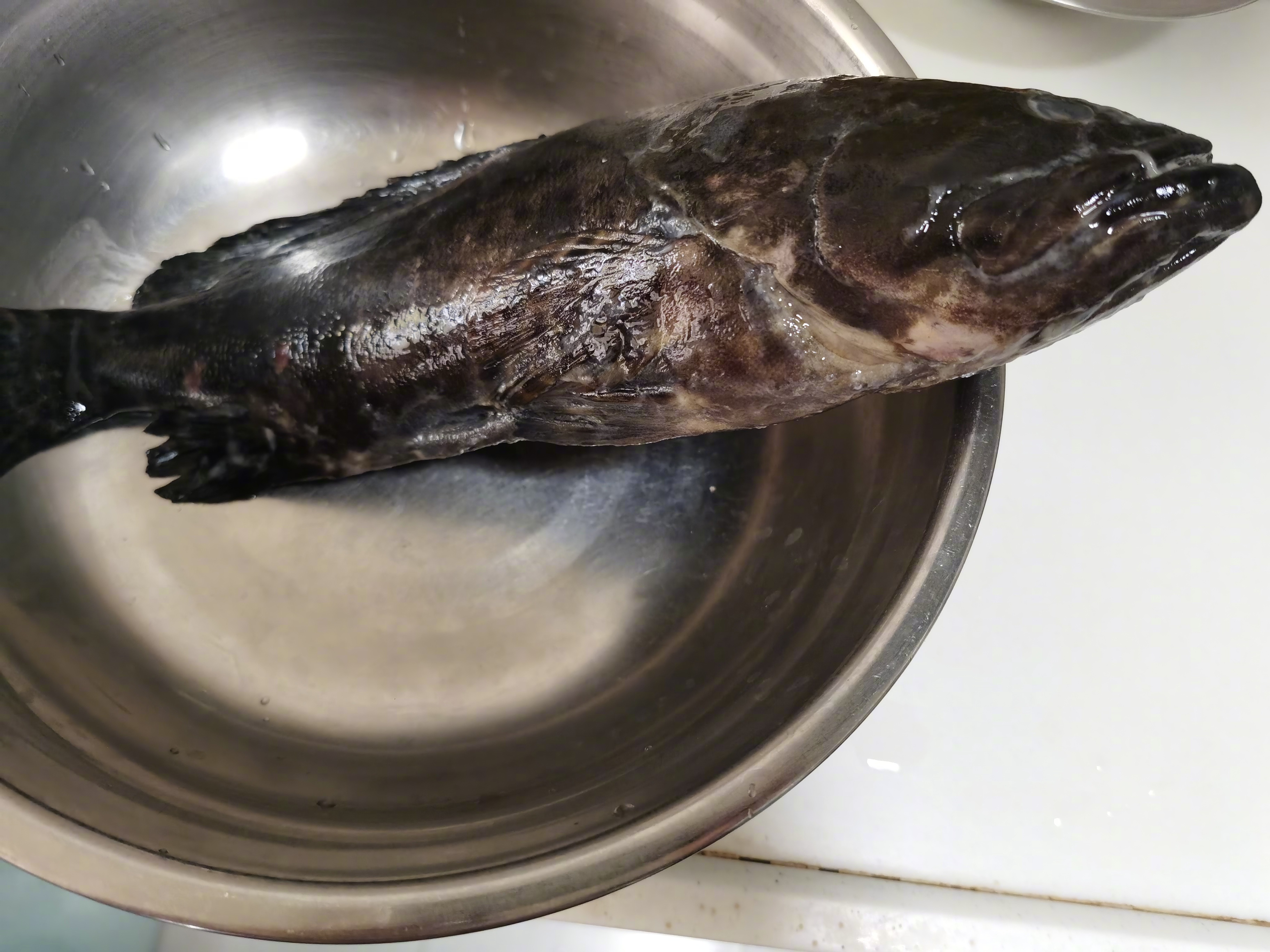 啊，请问这是什么海鱼？在线等 ​​​