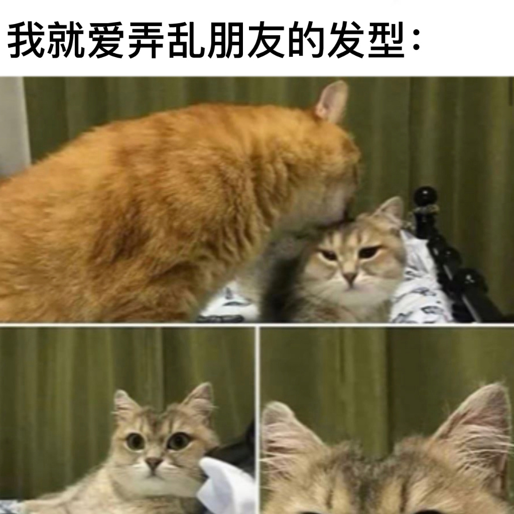 真坏呐#今日memes##趣过夏天# ​​​