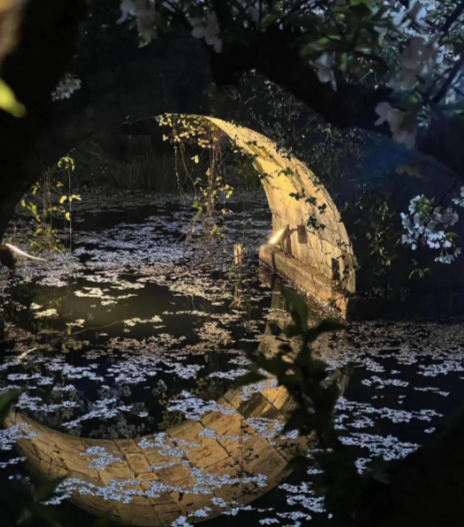 每日一善 生活因热爱而滚烫，用热忱追逐梦想，用乐观驱散阴霾，用坚持奔赴远方，让每