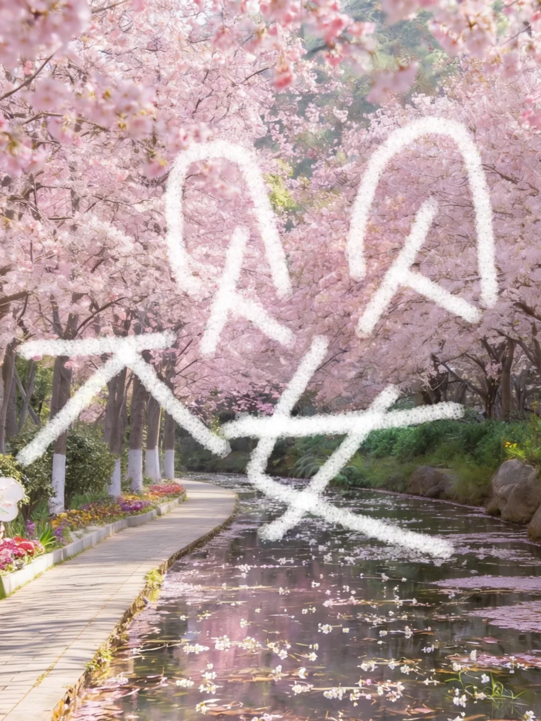 我在春城，很想和你交换春天