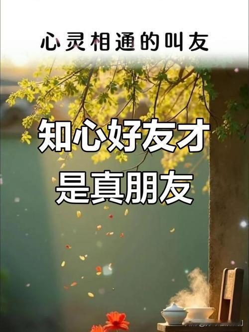 我认为越少越好。尤其是在这个社交媒体让人际关系显得庞杂的时代，精简社交圈确实是许