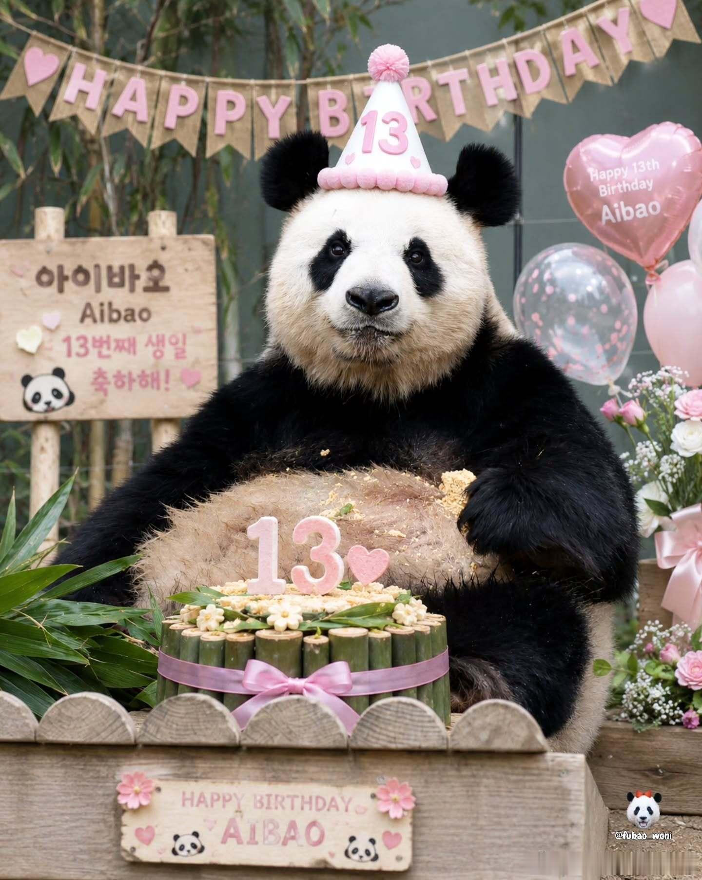 爱宝13岁生日快乐，四公主满月了，眼睛已经睁开一条缝了，7.13-7.19开始征
