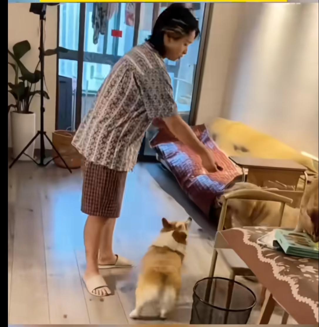 母亲去探望独居未婚的女儿，看见满屋子的猫猫狗狗就发愁，女儿养了一屋子的猫猫狗狗就