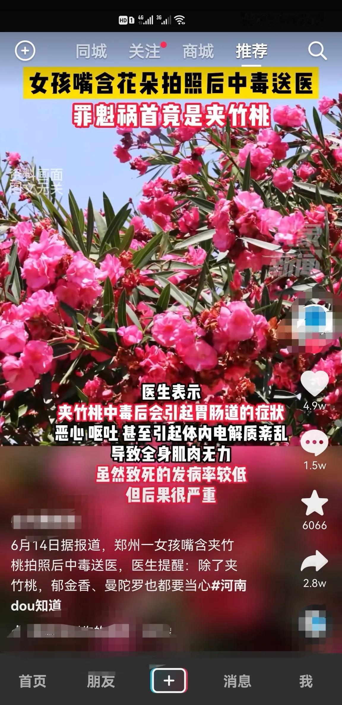 路边的花虽然开放的很漂亮，但是千万不要去随意的去采摘，最近，郑州一女孩为了拍照好