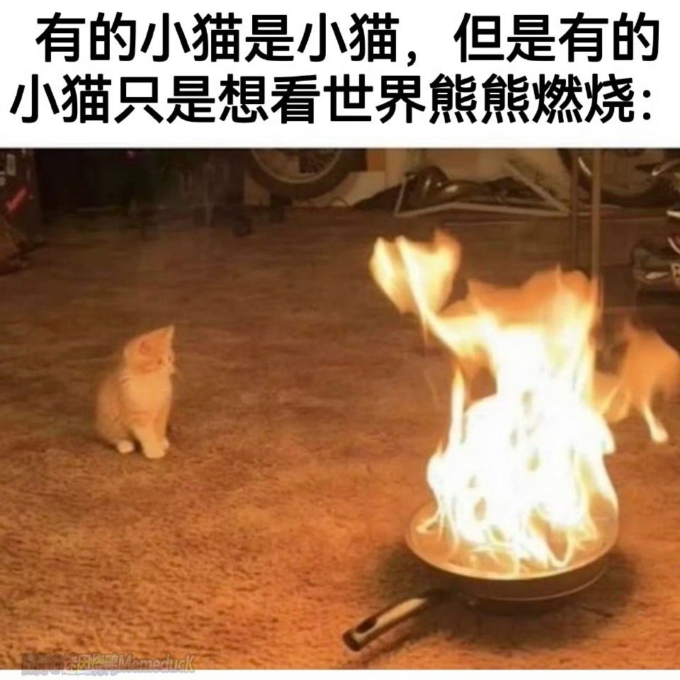 谁是坏东西 