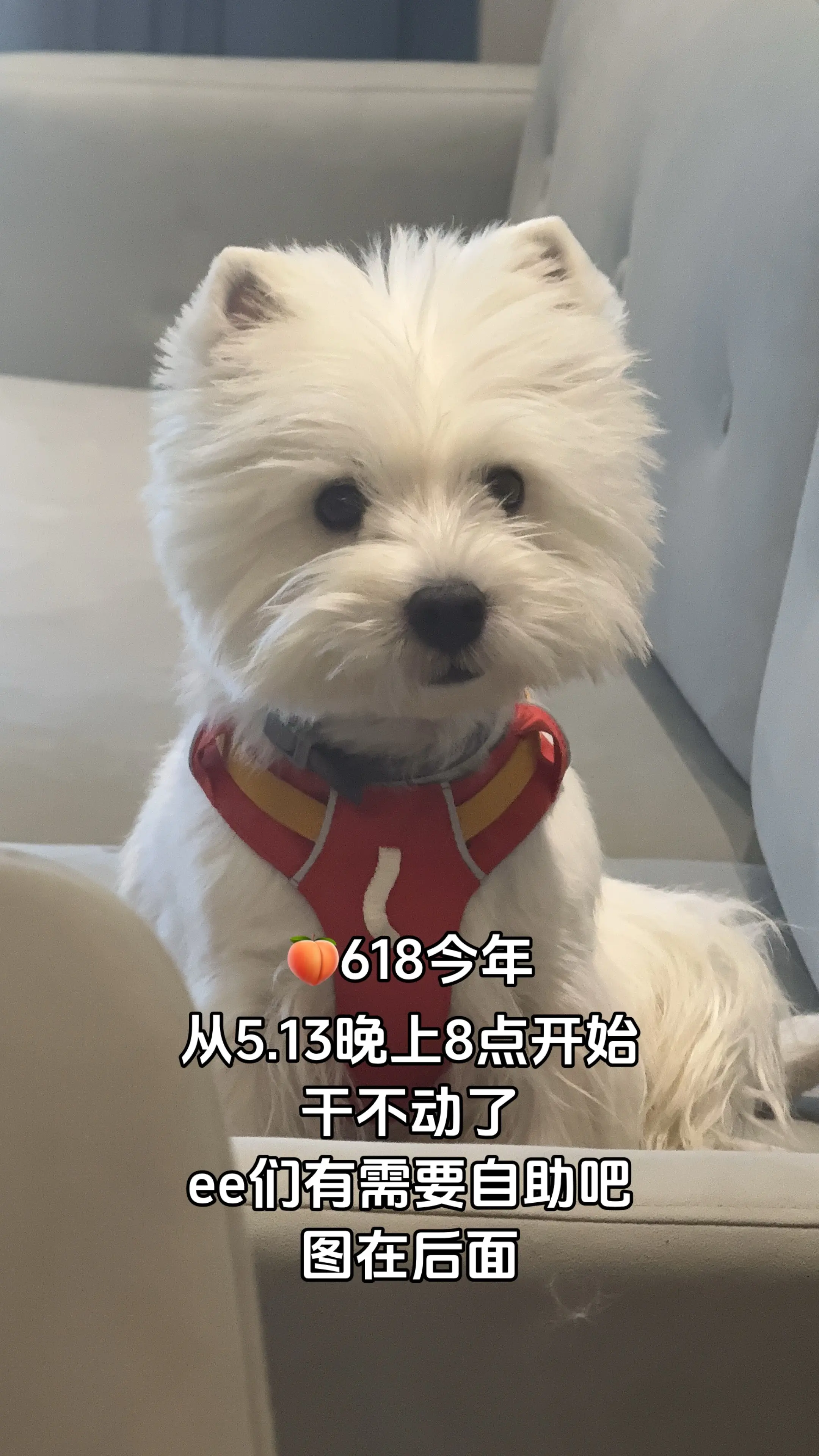 干不动了！🍑618今年 从5.13晚上8点开始 干不动了  ee们有需要自助吧