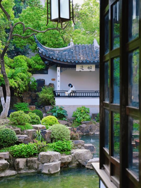 人生建议去完这些地方再离开无锡（全部免费