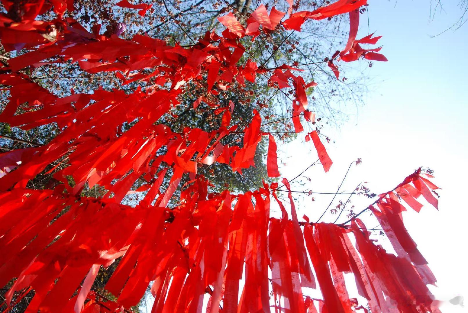 儿童节来辽宁铁刹山感受不一样的童年 拒绝千篇一律的过节模式，这个儿童节带娃打卡辽