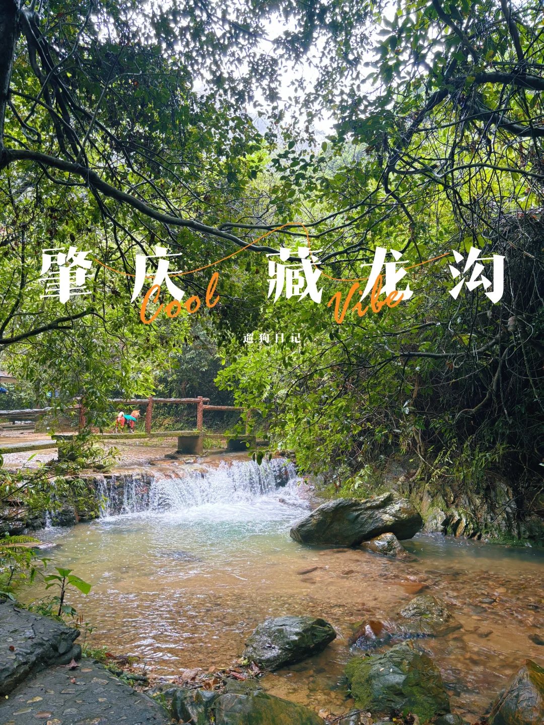 遛狗日记｜特种兵一家突袭藏龙沟
