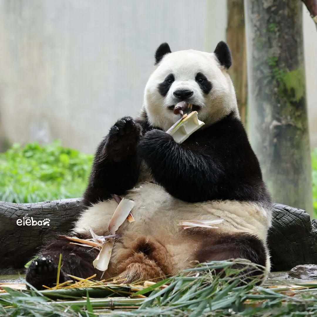 每天早起打卡早上好～ 