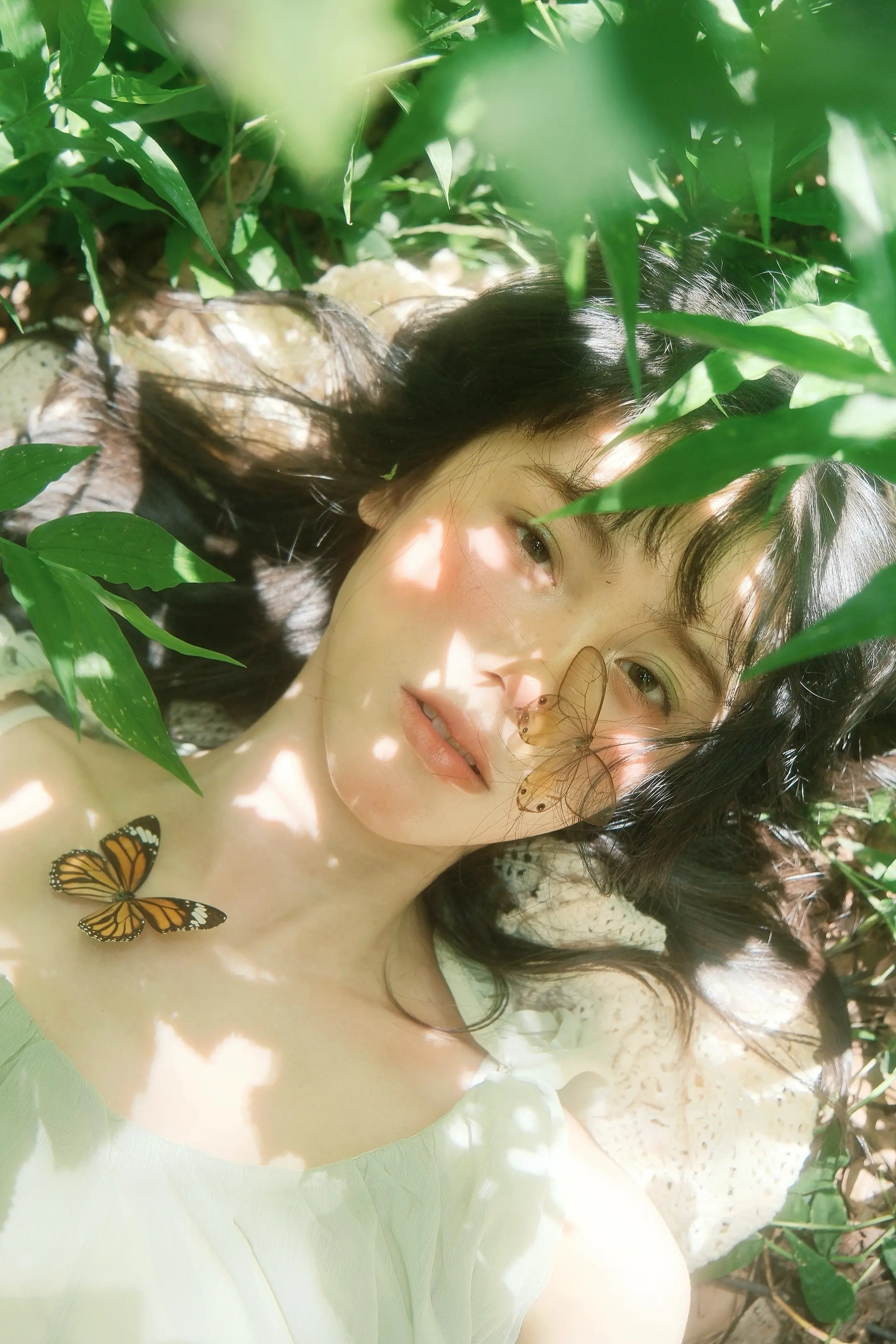蝴蝶的翅膀是不可降解的夏天🦋。