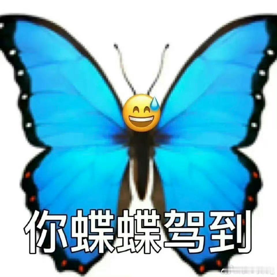 ❗如何判断对方人品？比较阳光，敞亮的地支——巳，午，寅，戌，卯，未。男生pan里