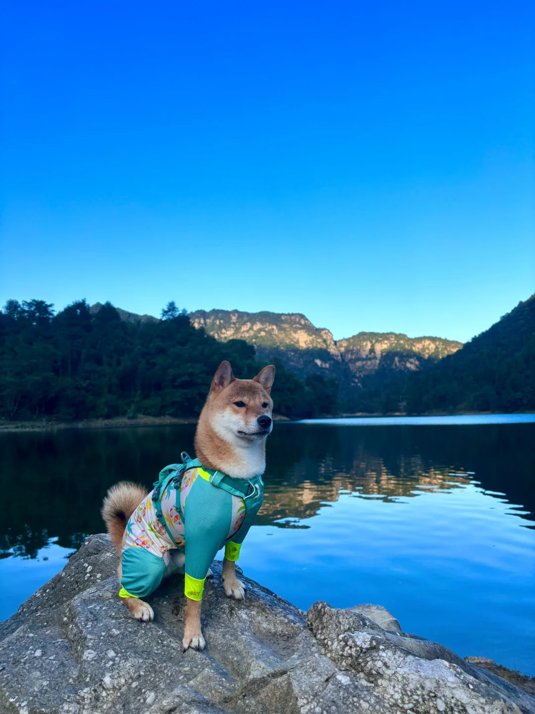 超小众粤湘赣之旅 第三站🏕江西罗浮水库