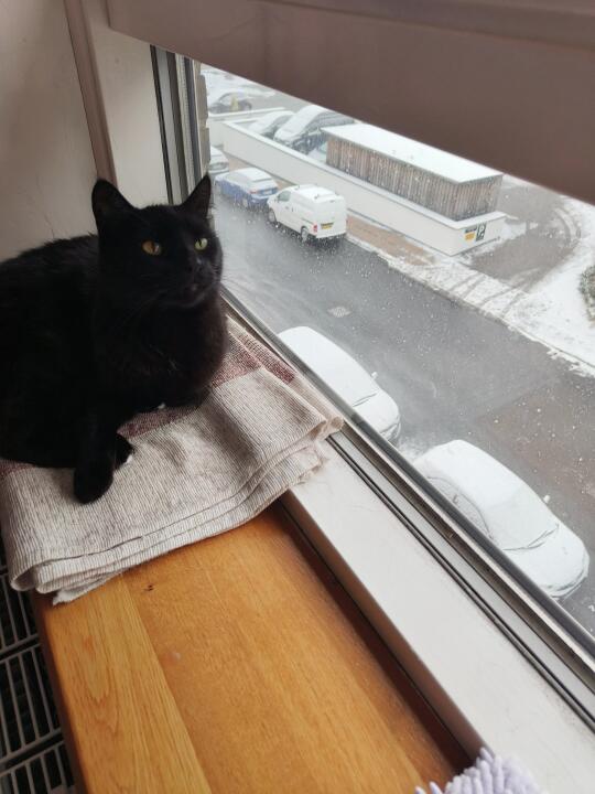 下雪了
