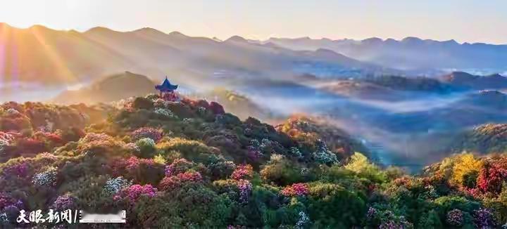 春日生活打卡季 春日真是个美好的季节，它悄无声息地就改变了世界。玉兰绽放出第一朵