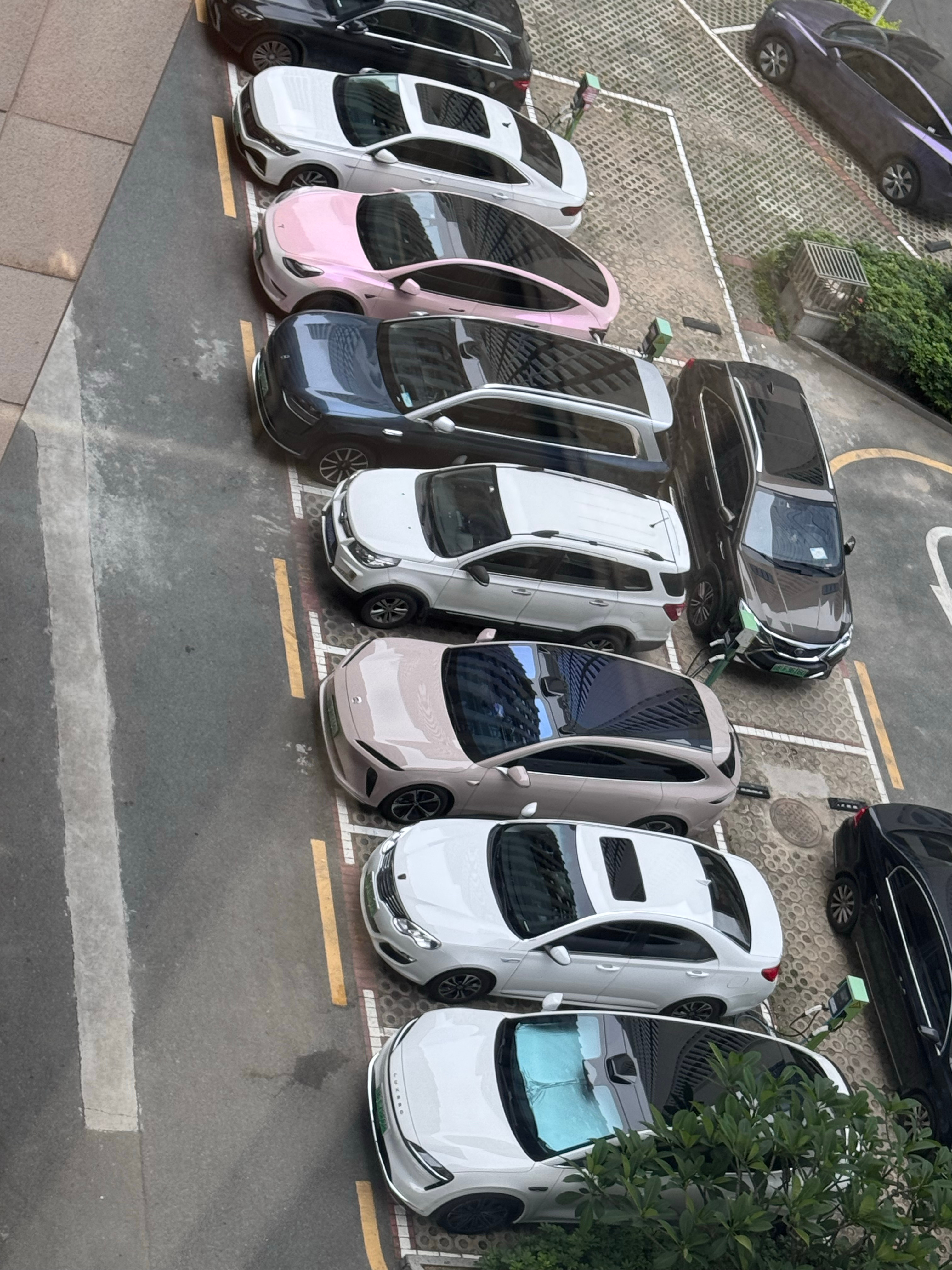拍一下公司楼下的车！新能源占比还是挺大的！ ​​​