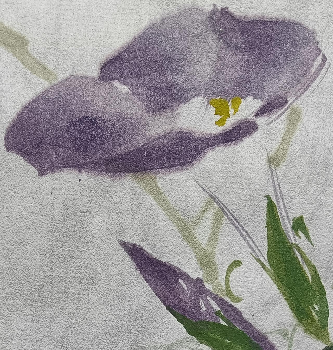 墨荷花