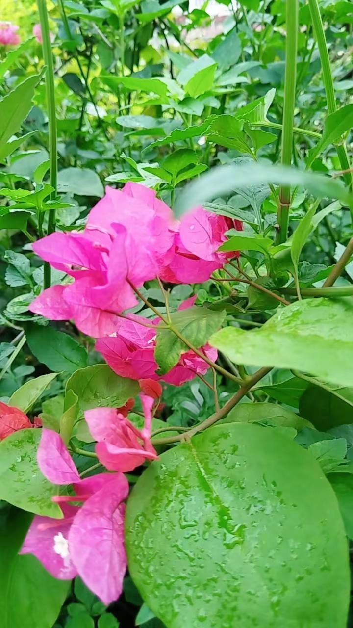 其实很多人都没有你早上喝的那杯水重要。玩法合伙人计划
