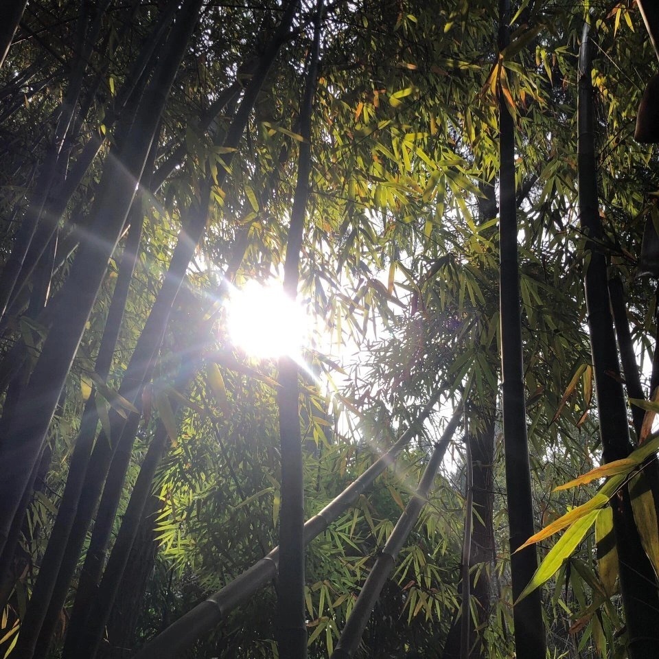 Wechat朋友圈背景图！ 