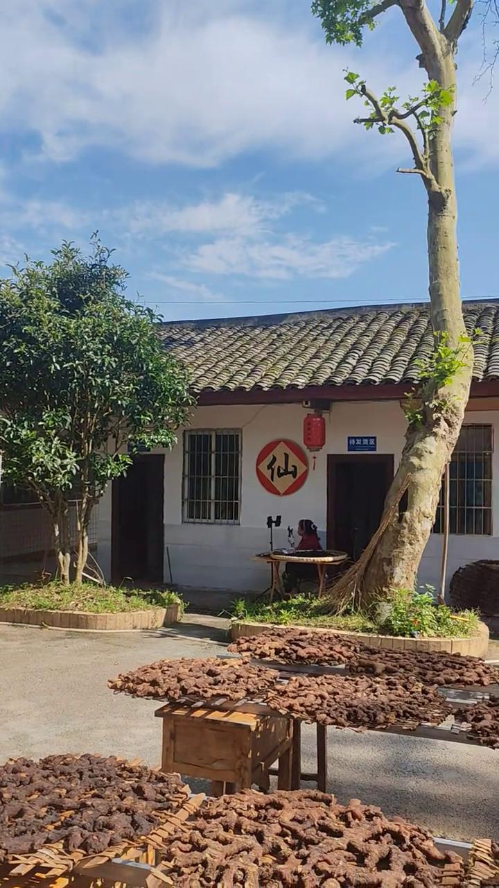 把事业做到极致，把服务做到最好，为客户全情投入，为信赖真诚付出。这是我每天的工作
