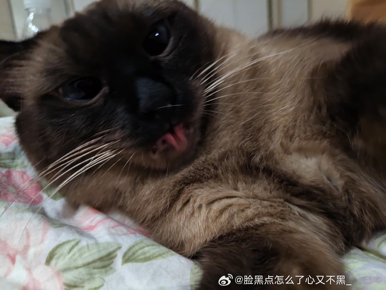 早安逼罗 ​​​