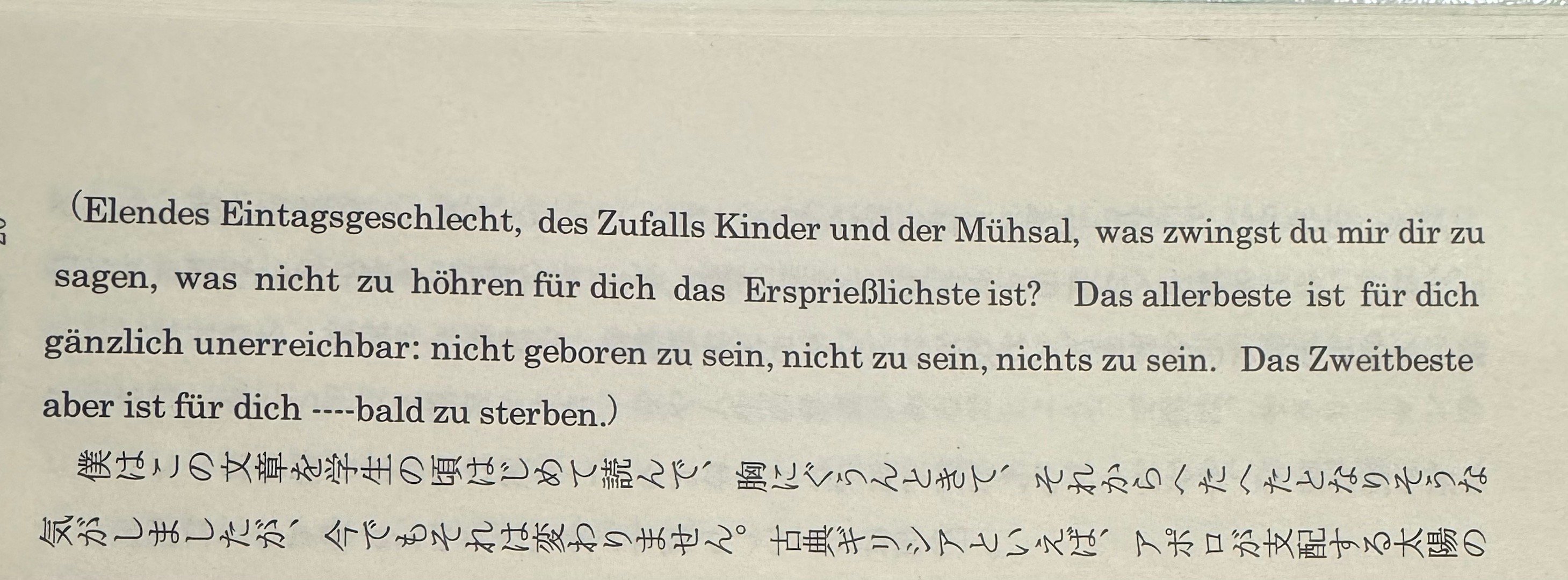 Elendes Eintagsgeschlecht, des Zufalls K