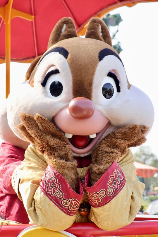 ❤️奇奇蒂蒂小可爱❤️