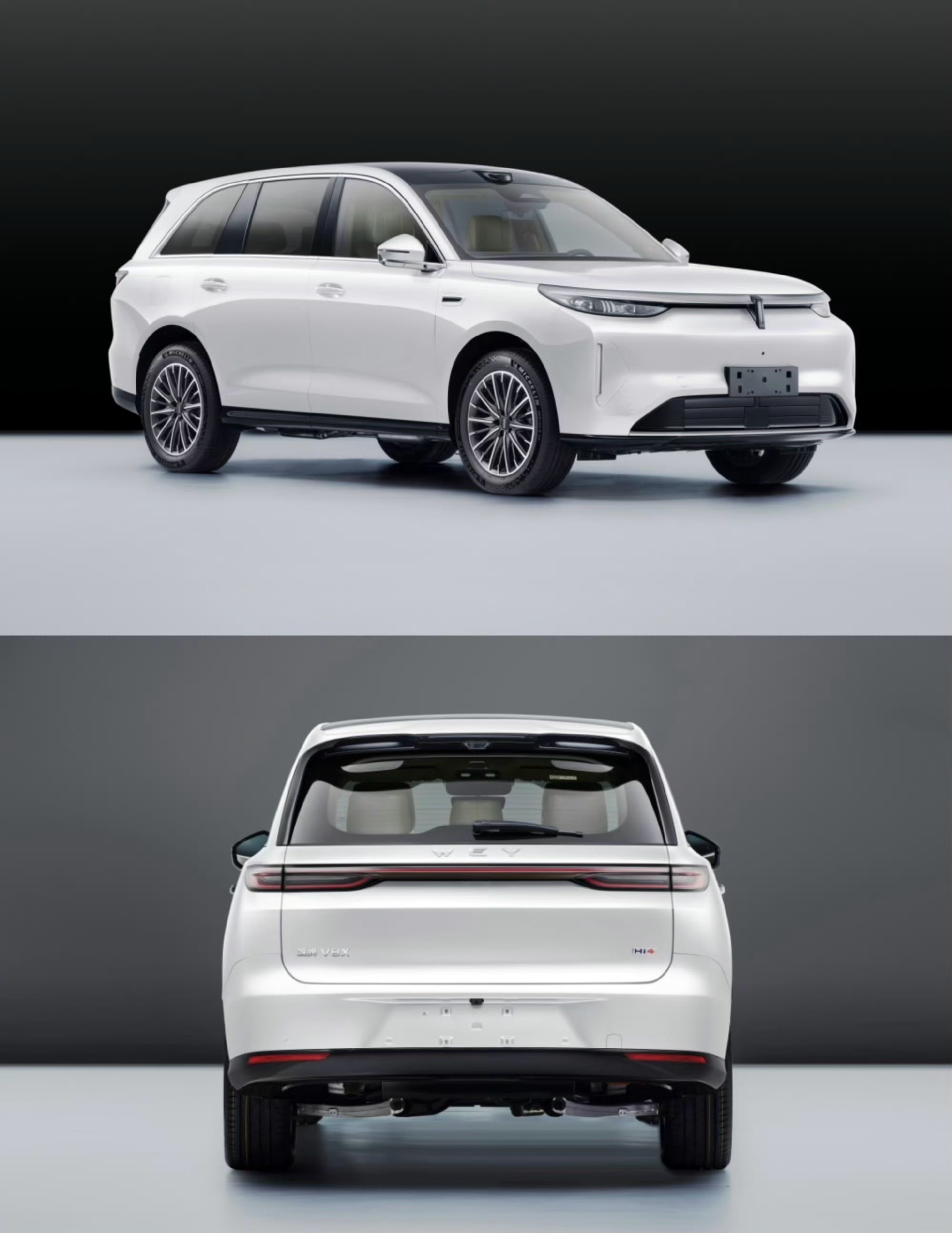 本以为V9x两个尺寸已经很离谱了，没想到V8x能选“蓝山”logo，你会选么？