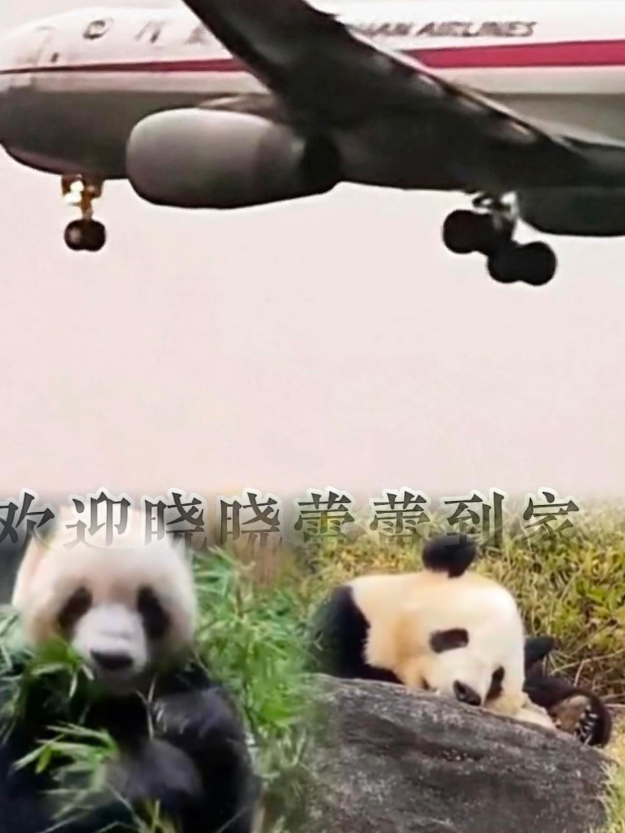 头也不回，走得那叫一个干脆。

看着晓晓和蕾蕾钻进车里的背影，莫名觉得解气。
