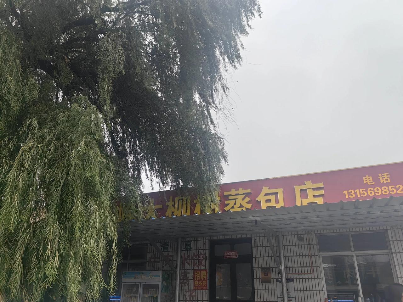 淄博临淄区金岭回族镇大柳树蒸包店！自从淄博烧烤火了之后，这个位于偏僻小镇的小包子